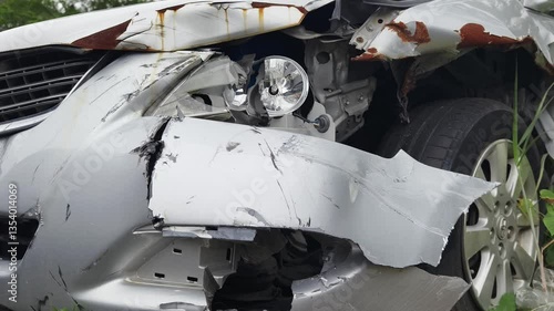 Abandoned cars after accidents in a dense overgrown setting