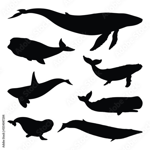 Set of Whale Silhouette