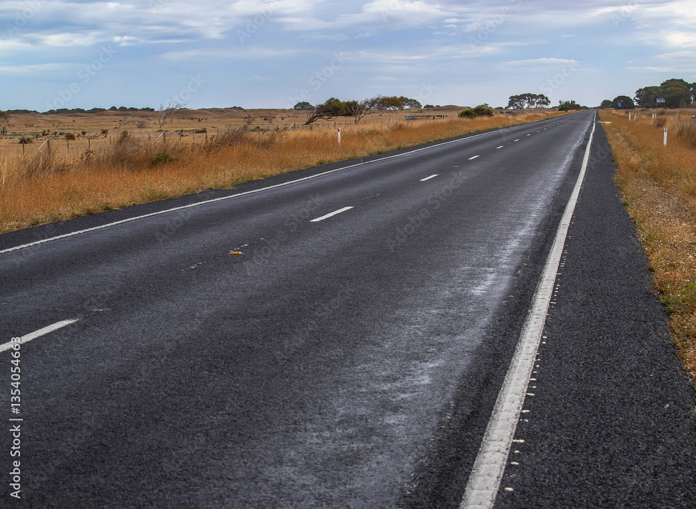 Long straight road through golden grasslands under a moody sky in rural South Australia, evoking solitude and vast horizons Long straight road through golden grasslands under a moody sky in rural South Australia, evoking solitude and vast horizons
