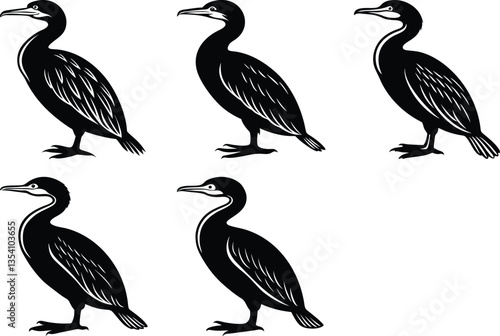 Obraz na płótnie silhouette of a cormorant bird set