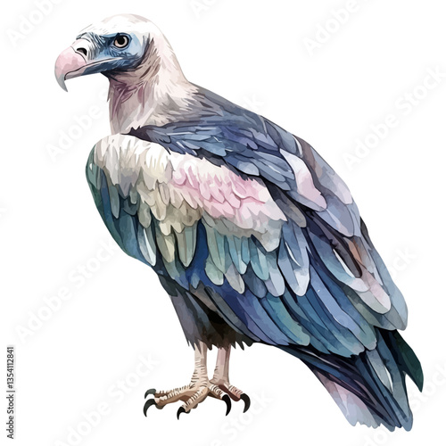 Vulture, watercolor vector, isolated on a white background.