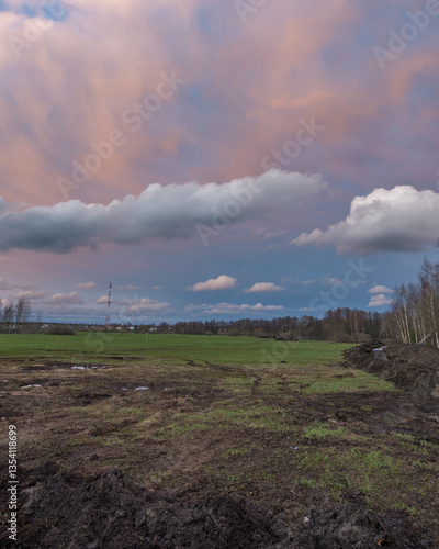 Field with a cloudy sky and a few trees