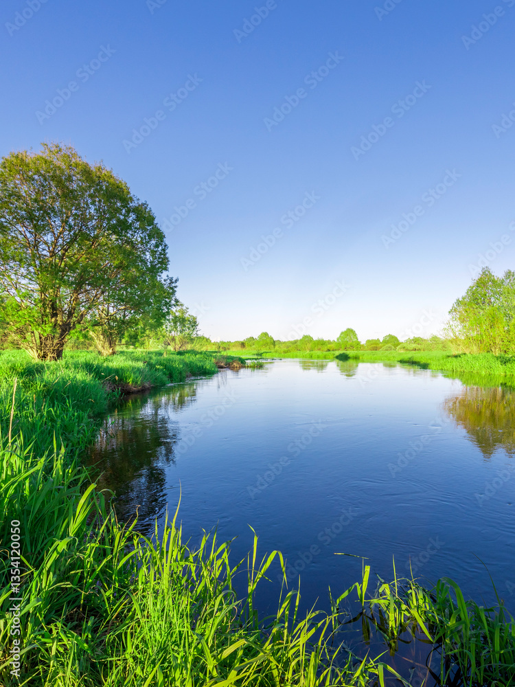 Fototapeta premium A calm lake with a tree in the background