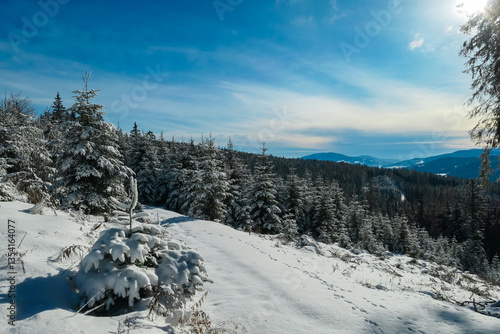 Wallpaper Mural Snow-covered pine trees stand tall, framing breathtaking view of snow-capped Alps in distance. Captured at Teufelstein, Styria Austria. Serene winter landscape evokes tranquility and natural beauty Torontodigital.ca