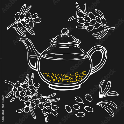 Teapot of tea with healthy tea, sea buckthorn. Hand drawn vector illustration.