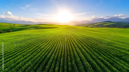Green Field and Mountains with Bright Sunlight and Blue Sky Landscape Scenic View