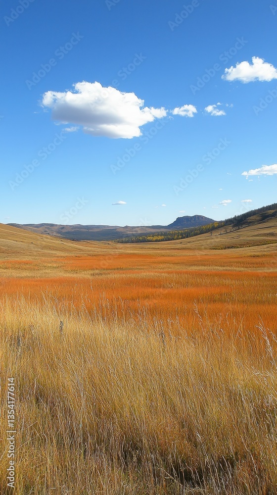 Obraz premium Golden Field of Swaying Grass Under a Bright Blue Sky
