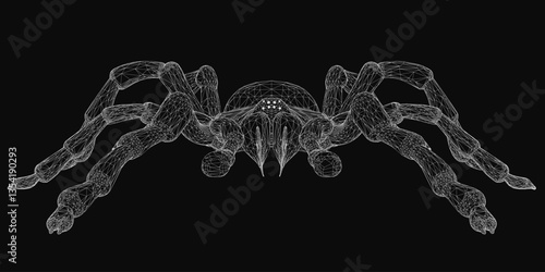 A spider is shown in a black and white. The spider is shown in a very detailed manner, with each strand of its legs and body clearly visible. Wireframe has a somewhat eerie and creepy mood