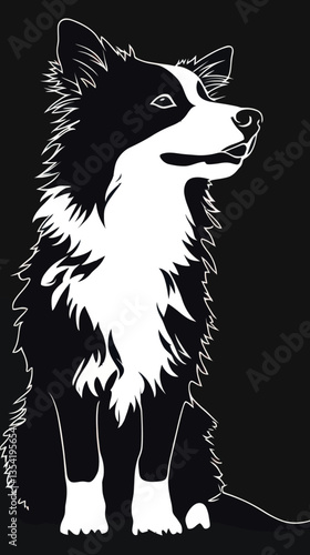 Border Collie Dog Silhouette Vector Art for Pet Illustration and Graphic Design