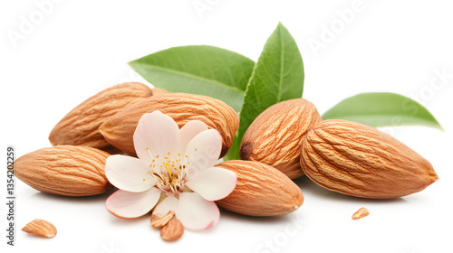 A bunch of almonds and a flower are on a white background. The almonds are scattered around the flower, and the flower is in the center. Concept of freshness and natural beauty, as the almonds