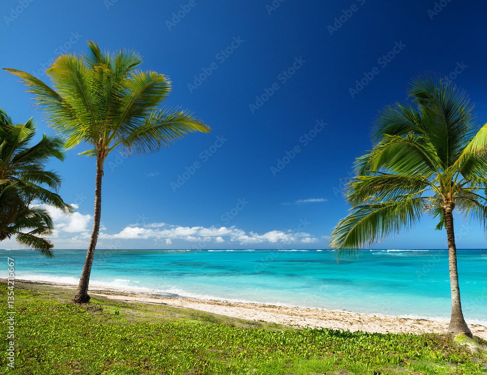 Fototapeta premium Generated image 青い海とヤシの木