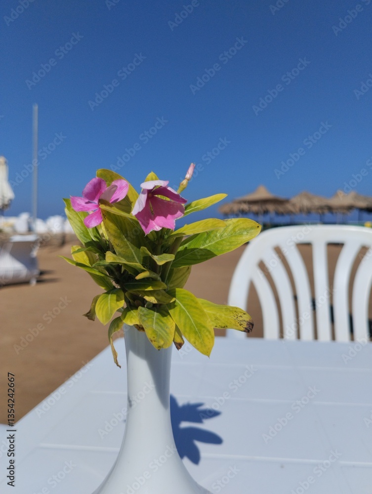 summer cafe at the beach, seaside resort, white plastic furniture,