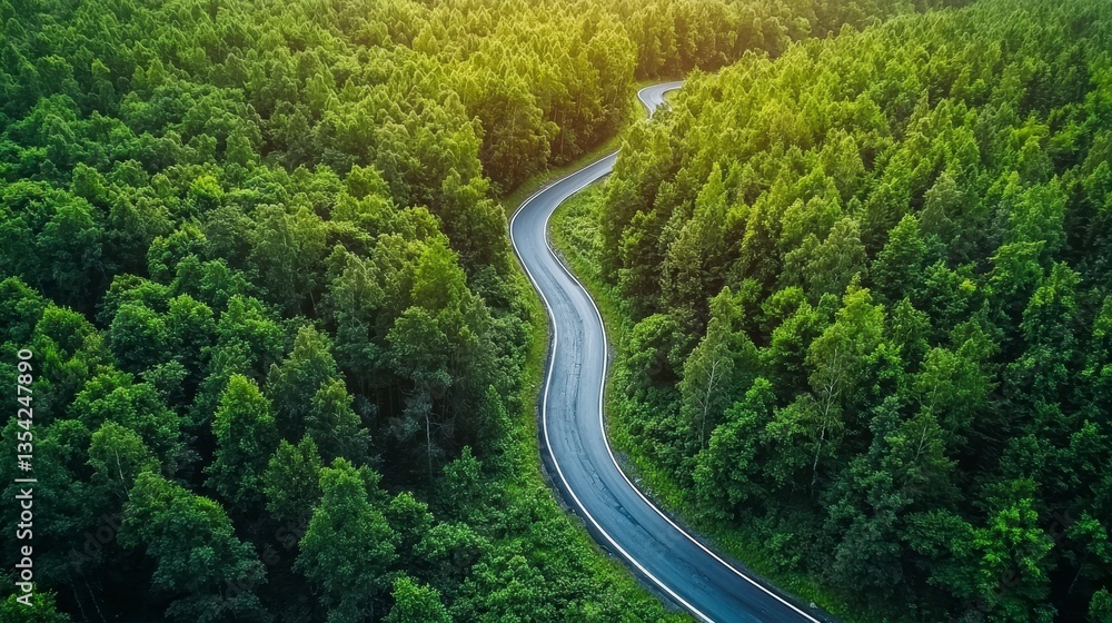 Fototapeta premium Scenic Aerial View of Winding Road Through Lush Green Forest Landscape at Sunset