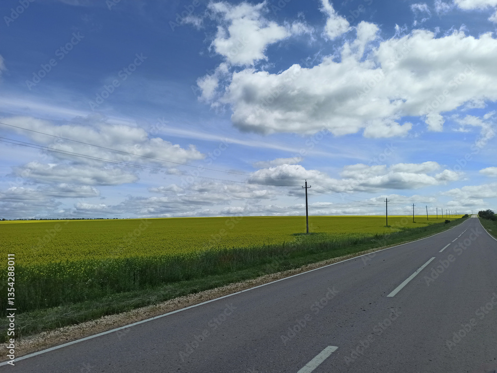 Fototapeta premium Wide open road stretches through vibrant green fields under a blue sky