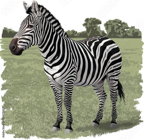 a illustrator vector zebra with a white backround