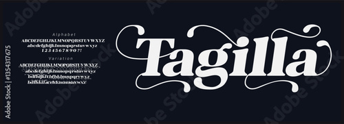 Elegant retro serif vector font. Alphabet italic vector font Uppercase, lowercase, number, and variation. Stylish luxury font for branding, display, and wedding. 