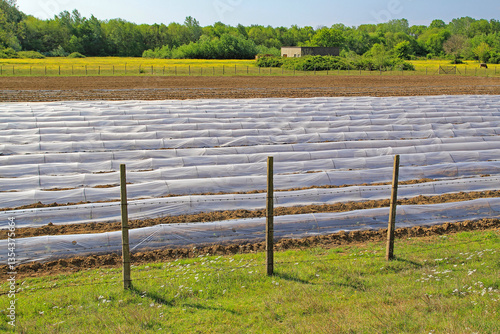 Floating Row Plastic Covers Greenhouse on a Field in Rural Montenegro