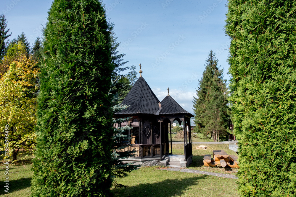 Fototapeta premium house in the woods