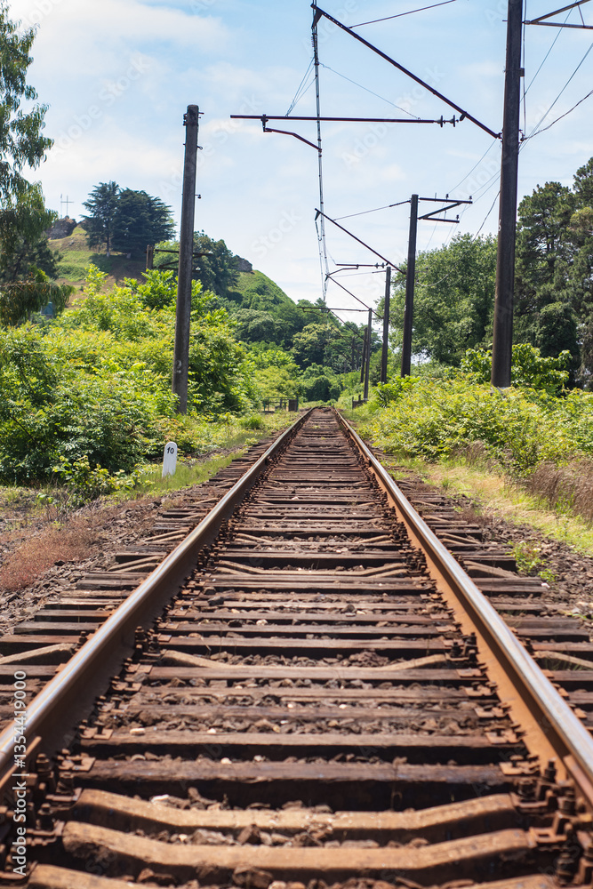 Fototapeta premium Railway tracks in the countryside, Georgia