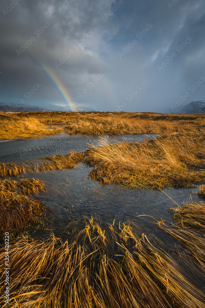Iceland's diverse landscape features majestic mountains, dramatic coastlines, glaciers, and volcanic fields. A land of contrasts, where fire meets ice, offering breathtaking views for nature and trave