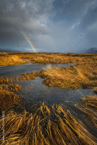Obraz na płótnie Iceland's diverse landscape features majestic mountains, dramatic coastlines, glaciers, and volcanic fields. A land of contrasts, where fire meets ice, offering breathtaking views for nature and trave w salonie