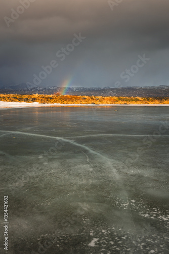 Obraz na płótnie Iceland's diverse landscape features majestic mountains, dramatic coastlines, glaciers, and volcanic fields. A land of contrasts, where fire meets ice, offering breathtaking views for nature and trave w salonie