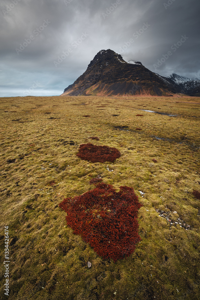 Iceland's diverse landscape features majestic mountains, dramatic coastlines, glaciers, and volcanic fields. A land of contrasts, where fire meets ice, offering breathtaking views for nature and trave