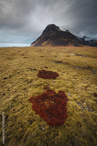 Obraz na płótnie Iceland's diverse landscape features majestic mountains, dramatic coastlines, glaciers, and volcanic fields. A land of contrasts, where fire meets ice, offering breathtaking views for nature and trave w salonie