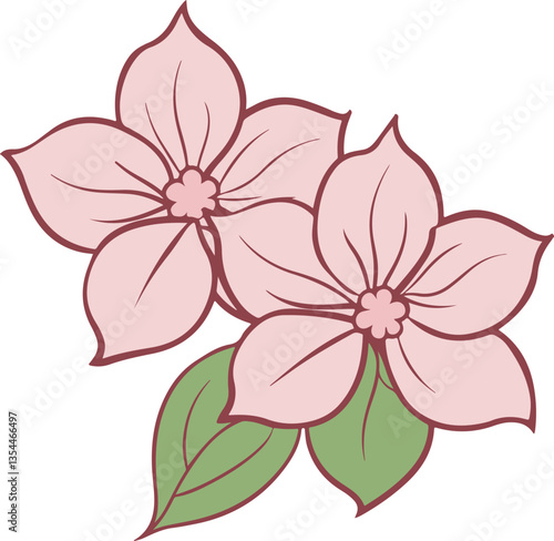 Delicate pink flowers in dogwood blossom with green leaves illustration