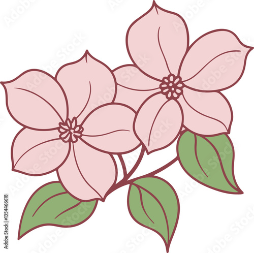 Delicate pink flowers in dogwood blossom with green leaves illustration