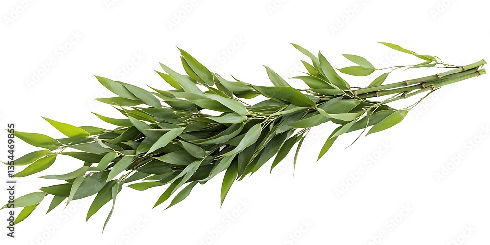 Fototapeta premium a close up of a plant