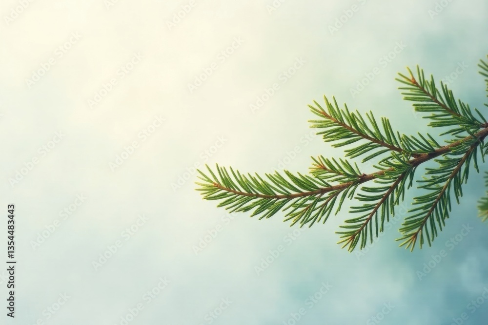 Obraz premium Serene Evergreen Branch Against a Soft Sky Background, Perfect for Nature-Inspired Designs and Projects