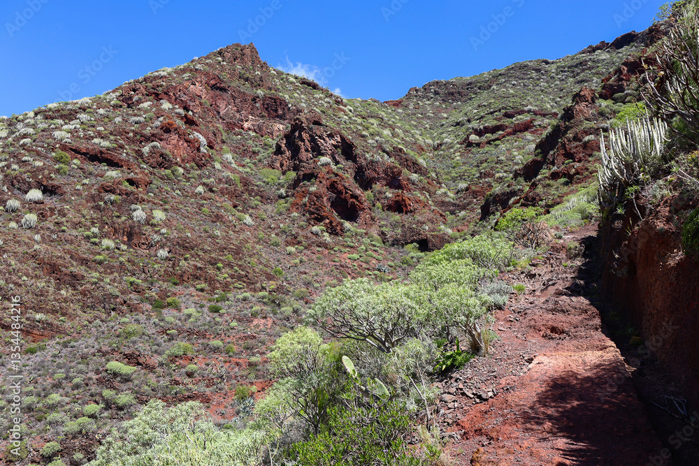Obraz premium Mountain in Tenerife island Spain