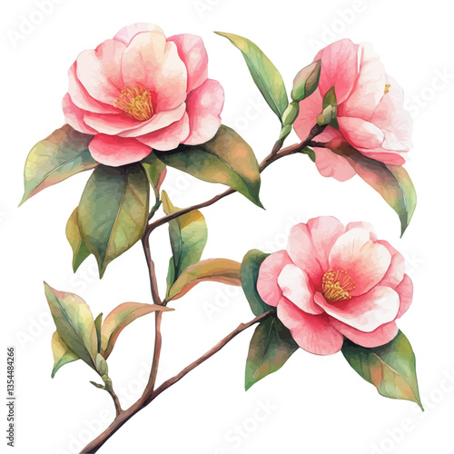 Camellia Branch, watercolor illustration, isolated on a white background.
