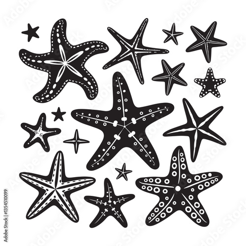 vector illustration of a starfish