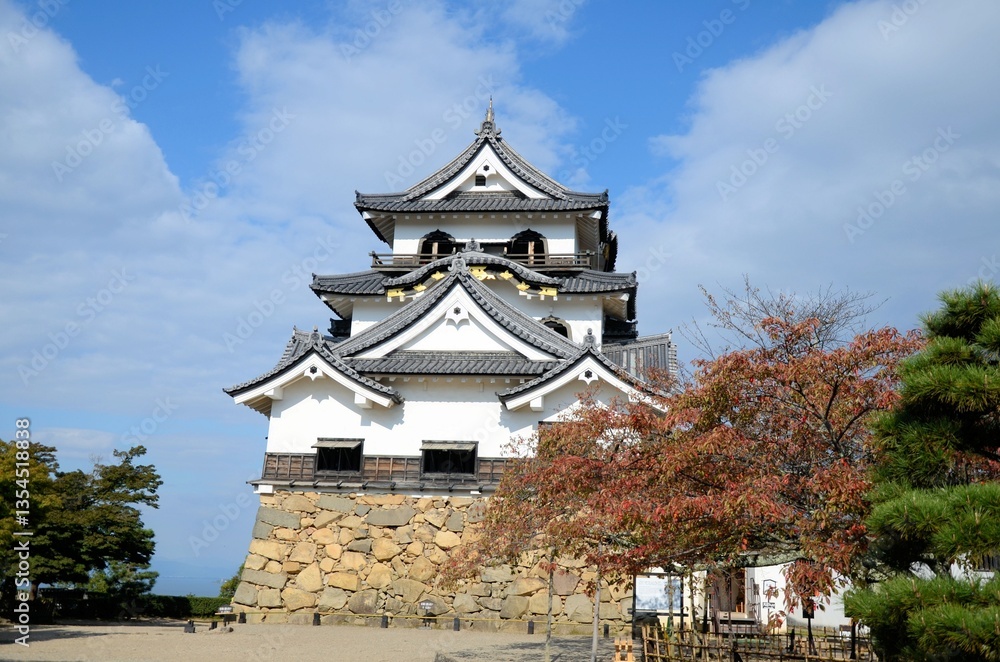 Fototapeta premium 彦根城 天守閣