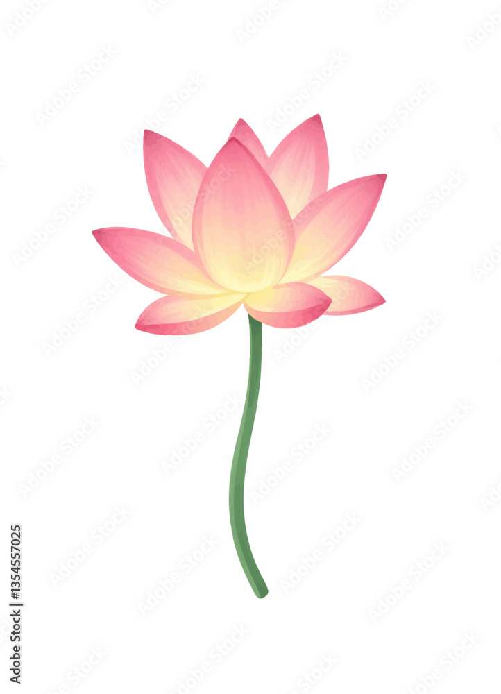 Pink Lotus Flower with Gradient Petals and Green Stem Pink Lotus Flower with Gradient Petals and Green Stem