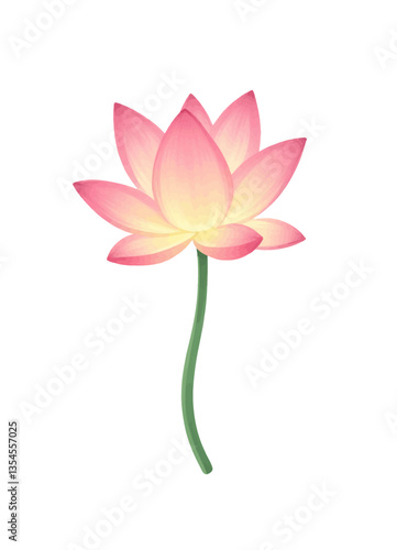 Pink Lotus Flower with Gradient Petals and Green Stem