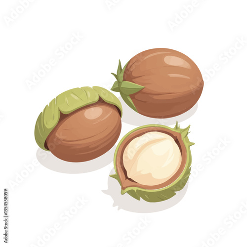Shea nuts, one halved, on white background