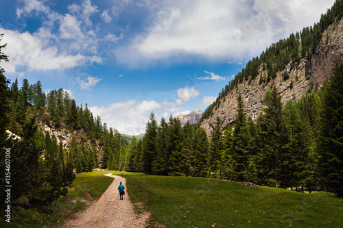 Wallpaper Mural nature sceneries inside Val Contrin, Canazei, Val di Fassa, Dolomites, Italy Torontodigital.ca