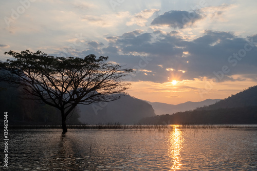 Wallpaper Mural Misty Lake at Sunrise with Mountain Silhouette Torontodigital.ca