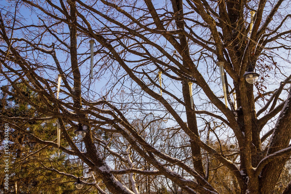 Tree branches without leaves against the blue sky. Artificial icicles-decorations hang on the branches. Snow on branches. Tree branches without leaves against the blue sky. Artificial icicles-decorations hang on the branches. Snow on branches.