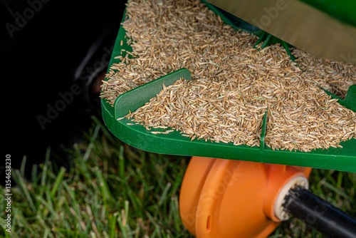 Planting grass seed with broadcast spreader. Lawncare, lawn and yard maintenance concept.