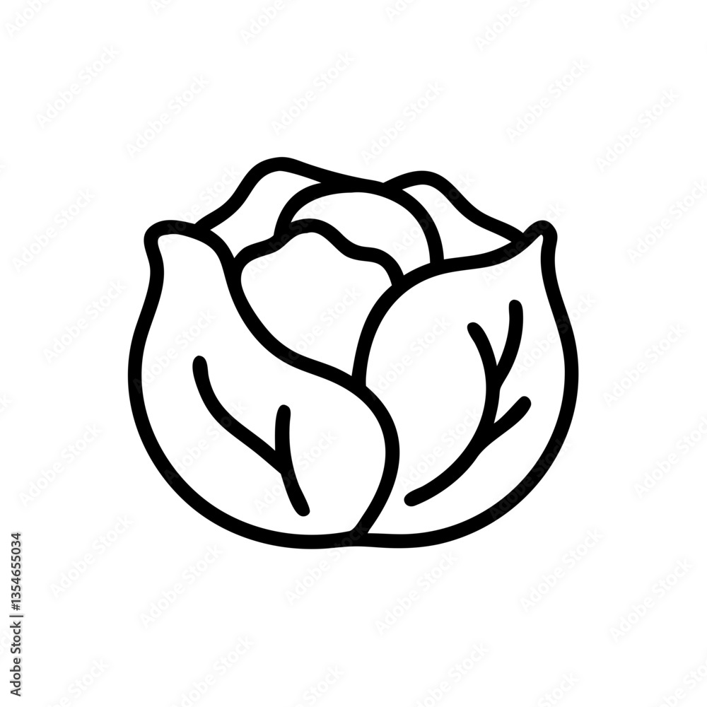 Cabbage Cabbage