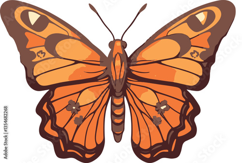 butterfly on white background