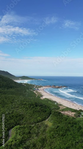 Praia Mole Florianópolis Surfistas