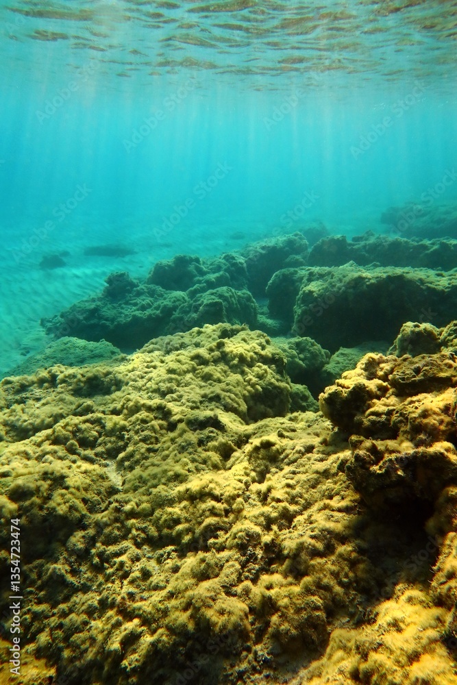 Fototapeta premium Shallow seabed with the rocks, underwater photo from the snorkeling. Shallow sunny water, blue sea, colorful big stones with nice sunrays. Ocean and sun. Adventure snorkeling, undersea landscape.