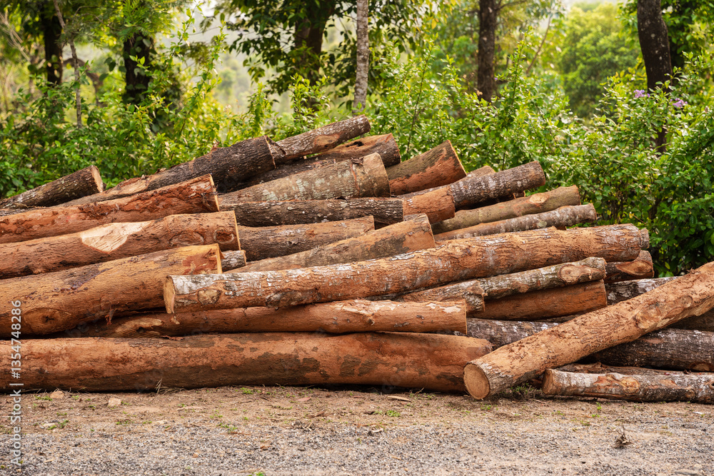Large stacks of cut timber logs Large stacks of cut timber logs