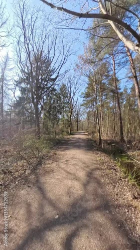 Wallpaper Mural A Serene Nature Path that Winds Through a Beautiful Sunlit Forest Waiting to Be Explored Hannover Kinderwald Torontodigital.ca