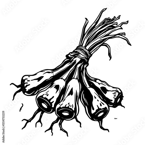 Twisted Roots A Haunting Illustration of Nature s Eerie Contortions and Macabre Beauty